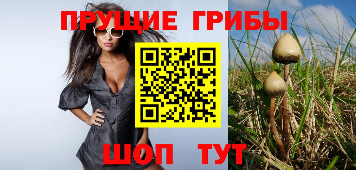 Псилоцибиновые грибы мицелий Выкса